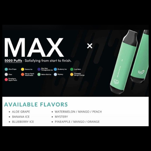 Puff Max - 5000 Puffs